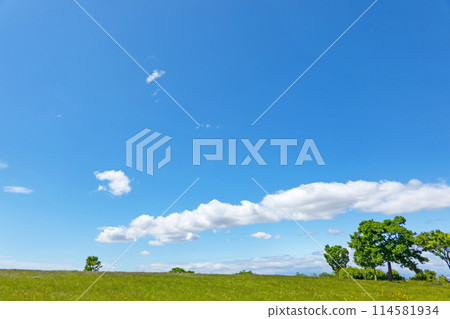 初夏的藍天和草地 114581934