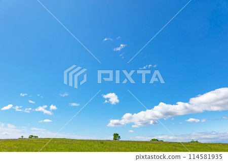 Early summer blue sky and meadow 114581935