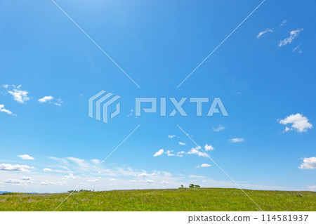 初夏的藍天和草地 114581937