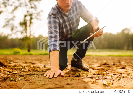 The farm owner's hand touches soil, checks quality of the soil before sowing. Ecology, technology. 114582568