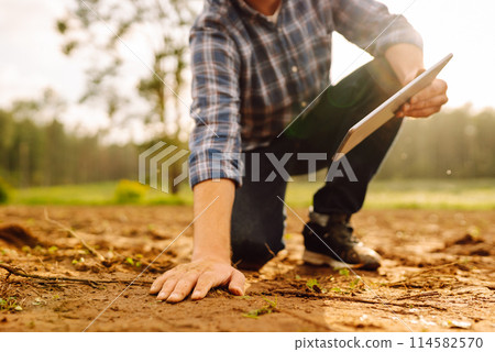 The farm owner's hand touches soil, checks quality of the soil before sowing. Ecology, technology. 114582570
