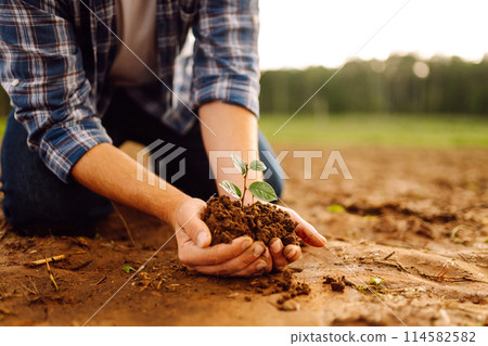 A man holds a green plant in his hands. Growing food. Agriculture concept. 114582582