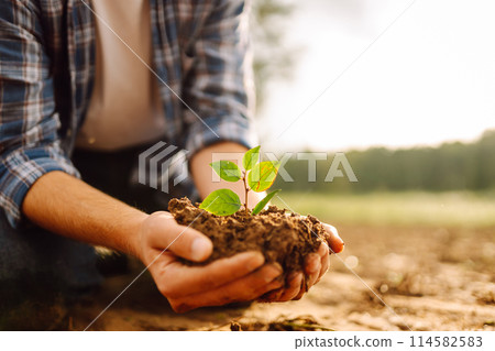 A man holds a green plant in his hands. Growing food. Agriculture concept. A man holds a green plant in his hands. Growing food. Agriculture concept. 114582583