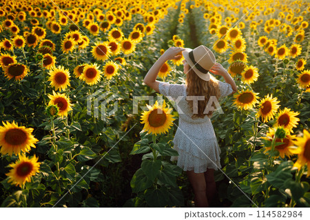 Sunny beautiful photo of happy woman, enjoying warm weather, walking in blooming sunflower field. 114582984