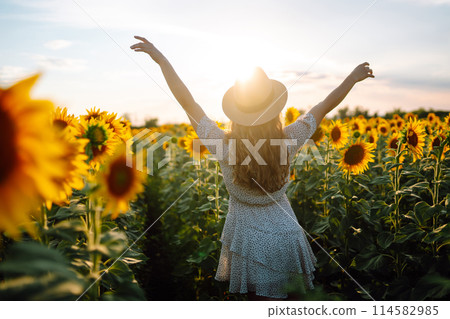Sunny beautiful photo of happy woman, enjoying warm weather, walking in blooming sunflower field. 114582985