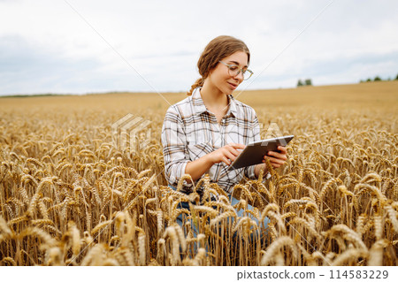A young female agronomist with a modern tablet checks the quality. Gardening concept, harvesting. 114583229