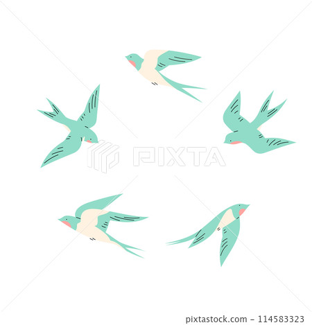 Swallows in flight isolated on a white background. 114583323