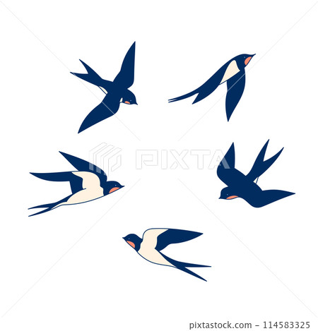 Swallows in flight isolated on a white background. 114583325