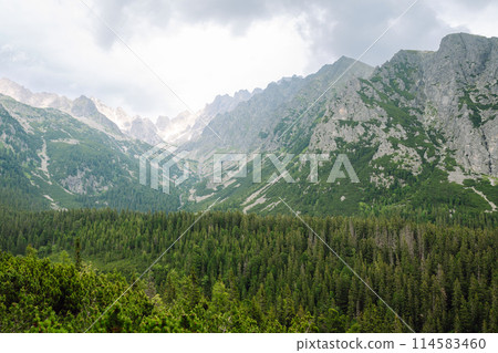 Breathtaking view of the mountains on a hiking trail. Location of the High Tatras Mountains, Europe. Breathtaking view of the mountains on a hiking trail. Location of the High Tatras Mountains, Europe. 114583460