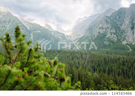 Breathtaking view of the mountains on a hiking trail. Location of the High Tatras Mountains, Europe. Breathtaking view of the mountains on a hiking trail. Location of the High Tatras Mountains, Europe. 114583466