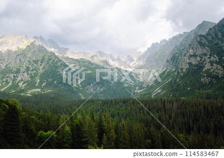 Breathtaking view of the mountains on a hiking trail. Location of the High Tatras Mountains, Europe. 114583467