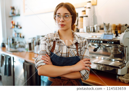 Portrait of a beautiful barista girl in an apron in a modern cafe bar. Business concept. 114583659