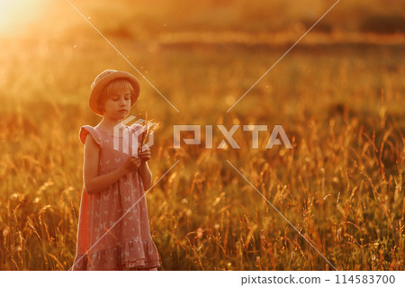 A young girl is sitting in a field of flowers, holding a bouquet of daisies A young girl is sitting in a field of flowers, holding a bouquet of daisies 114583700