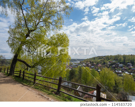 Spring green tree over a ravine. Sunny view of Ples city Spring green tree over a ravine. Sunny view of Ples city 114583720