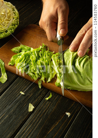 The cook hands cut fresh cabbage with a knife to prepare a vegetarian lunch. Cooking the national dish of cabbage on the kitchen table in the pub The cook hands cut fresh cabbage with a knife to prepare a vegetarian lunch. Cooking the national dish of cabbage on the kitchen table in the pub 114583760