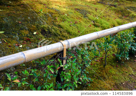 japanese tradition style bamboo fence panel. 114583896