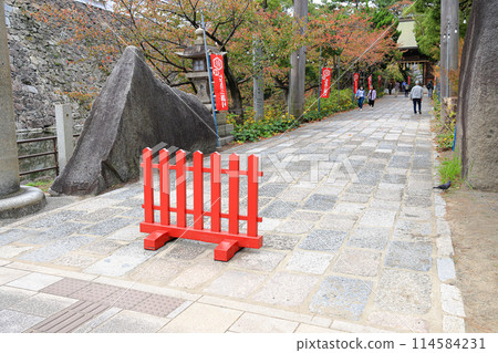 The red fence forbids vehicles from approaching the walkway leading to the Sarutahikosha shrine in Fukuoka, Japan. 114584231