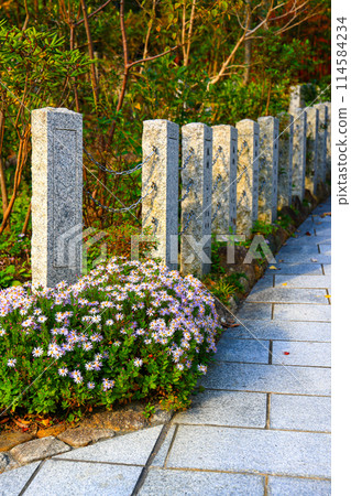 Terrazzo fence along the Concrete walkways in the garden. 114584234