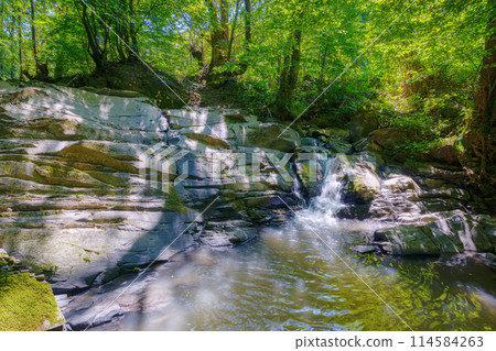 rocks in the creek. peaceful woodland landscape in summer. purity in nature. unnamed waterfall on the simony river in uzhhorod district of ukraine 114584263