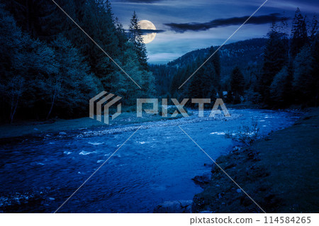 river flows through the valley of carpathian mountains at night. shallow water reveals stones. synevyr national park of ukraine in full moon light 114584265