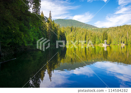 glacier lake of carpathian mountains in summer. outdoor nature scenery of synevyr national park on a sunny morning. spruce forest reflecting in calm water. popular travel destination of ukraine 114584282