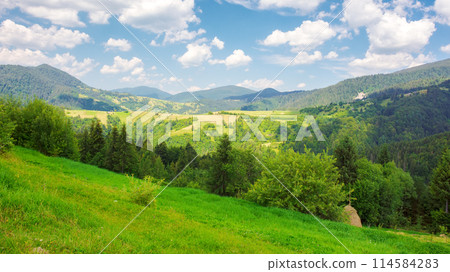 nature scenery with hills and meadows. rural valley in the distance. sunny afternoon in summer. beautiful countryside landscape of ukrainian carpathians in dappled light beneath a sky with clouds nature scenery with hills and meadows. rural valley in the distance. sunny afternoon in summer. beautiful countryside landscape of ukrainian carpathians in dappled light beneath a sky with clouds 114584283