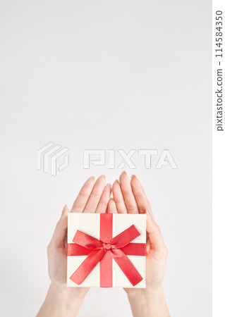 Woman holding a gift wrapped box Woman holding a gift wrapped box 114584350
