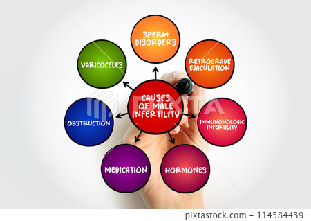 Causes of male infertility mind map text concept for presentations and reports 114584439