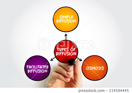 Types of Diffusion is the net movement of anything generally from a region of higher concentration to a region of lower concentration, mind map concept background 114584445