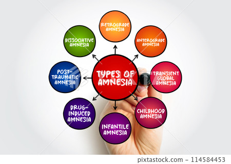 Types of Amnesia (the loss of memories) mind map text concept for presentations and reports 114584453