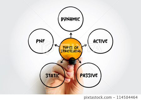 Types of Stretching (form of physical exercise in which a specific muscle or tendon is deliberately flexed or stretched) mind map text concept background 114584464