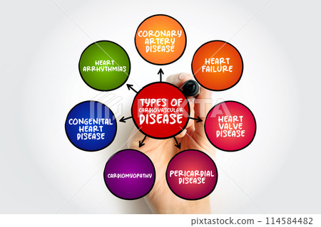 Types of cardiovascular disease (group of disorders of the heart and blood vessels) mind map text concept for presentations and reports Types of cardiovascular disease (group of disorders of the heart and blood vessels) mind map text concept for presentations and reports 114584482