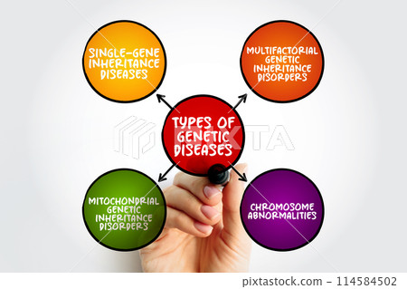 Types of Genetic diseases mind map text concept for presentations and reports Types of Genetic diseases mind map text concept for presentations and reports 114584502