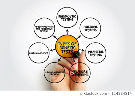 Types of genetic tests mind map text concept for presentations and reports Types of genetic tests mind map text concept for presentations and reports 114584514