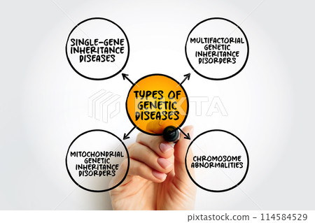 Types of Genetic diseases mind map text concept for presentations and reports 114584529