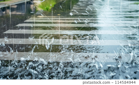 Image of heavy rain falling on a pedestrian crossing Image of heavy rain falling on a pedestrian crossing 114584944