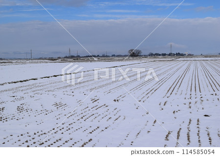 Rural scenery in snowy country Shonai, Yamagata Prefecture Rural scenery in snowy country Shonai, Yamagata Prefecture 114585054