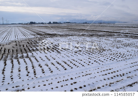山形縣莊內雪國的田園風光 山形縣莊內雪國的田園風光 114585057