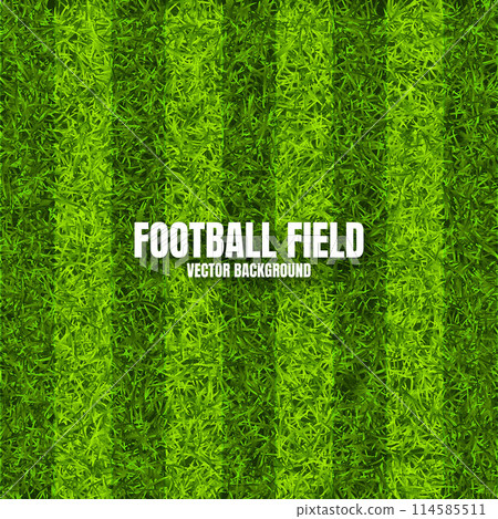 Soccer playing field with green grass. Football pitch background with stripes. Sports ground, stadium with fake or natural grass. Vector illustration Soccer playing field with green grass. Football pitch background with stripes. Sports ground, stadium with fake or natural grass. Vector illustration 114585511
