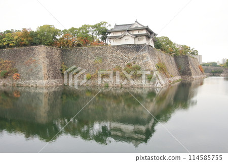 大阪城公園秋葉與倒影 114585755