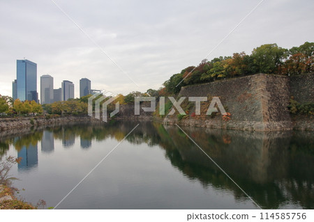 大阪城公園秋葉與倒影 114585756