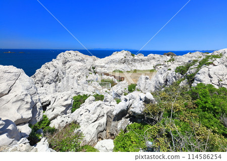 [和歌山縣] 白崎海洋公園晴空萬裡 114586254