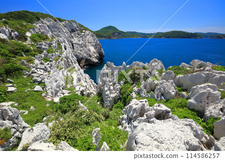[Wakayama Prefecture] Shirasaki Marine Park on a clear day 114586257