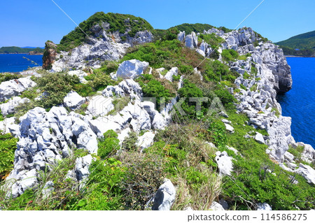 [Wakayama Prefecture] Shirasaki Marine Park on a clear day 114586275