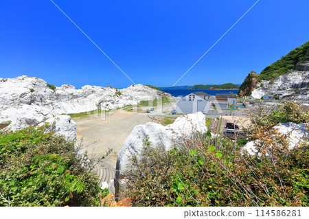 [Wakayama Prefecture] Shirasaki Marine Park on a clear day 114586281