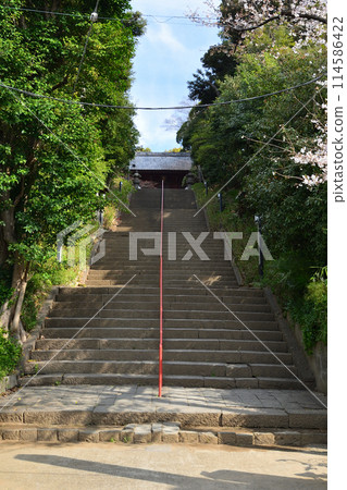 Mamasan Koboji Temple，石階 114586422