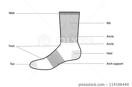 Diagrams of socks parts with text names. Hosiery Fashion accessory clothing technical illustration. Vector side view 114586440