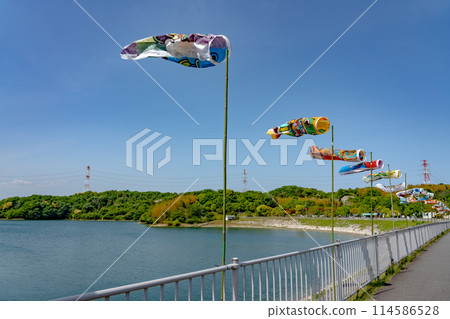 三重縣四日市,伊坂壩湖面和初夏的鯉魚旗 三重縣四日市,伊坂壩湖面和初夏的鯉魚旗 114586528