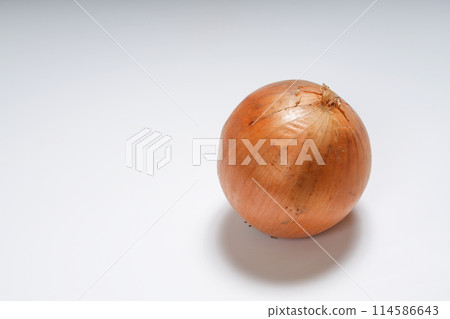 蔥有白色背景 114586643