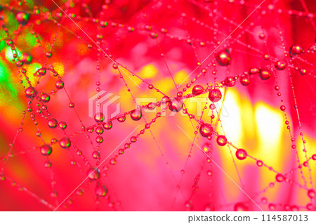 Water droplets like molecules, a fantastic macro world Red Water droplets like molecules, a fantastic macro world Red 114587013